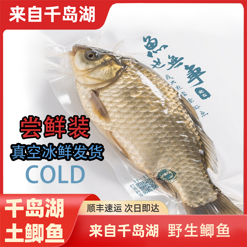 鲜捕千岛湖土鲫鱼真空锁鲜顺丰到家（多条）鲫鱼汤野生鲫鱼