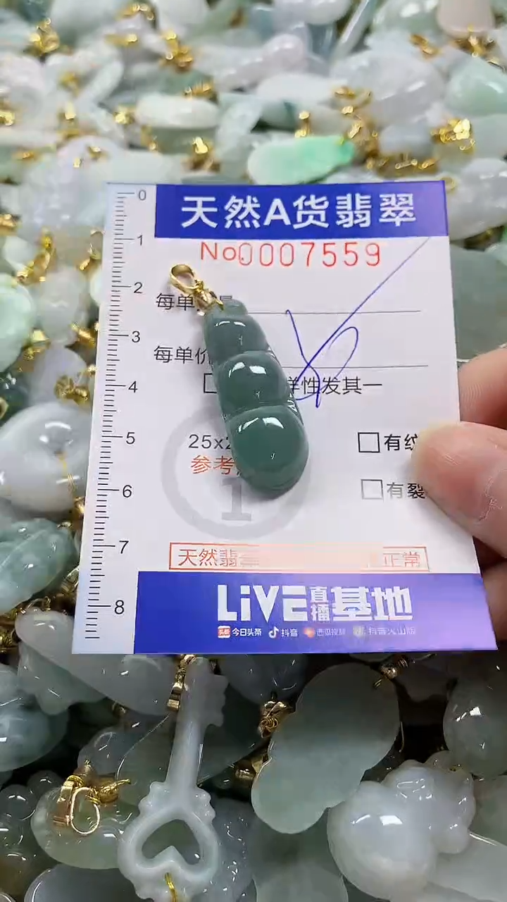 颈饰未镶嵌翡翠纯天然a货翡翠