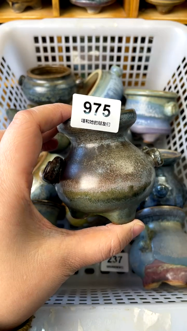 【闪购商品】陶975 内口4.5