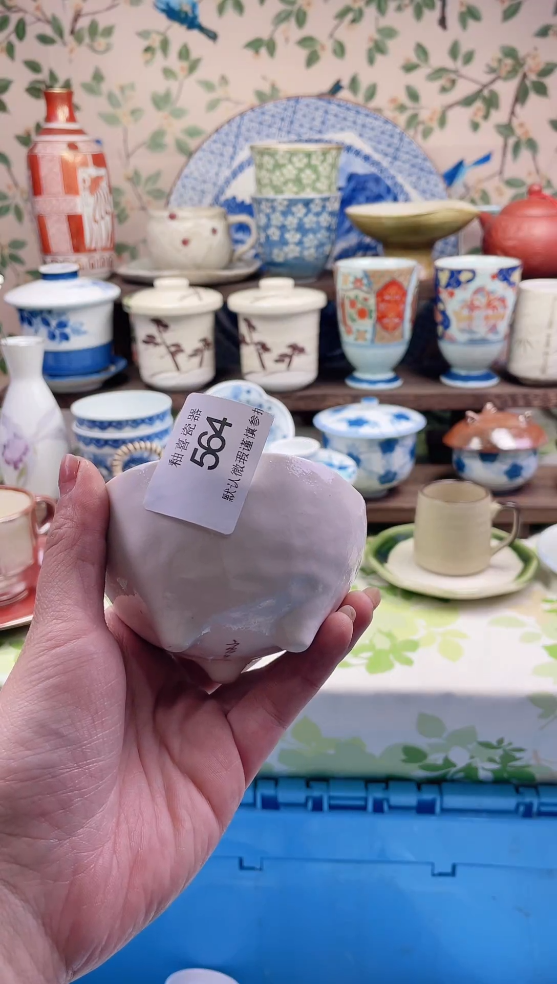 瓷片抱***猫瓷片瓷片564