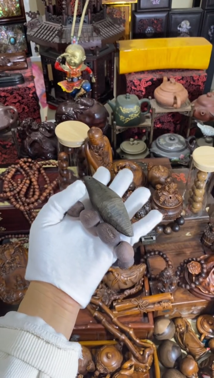 木中之王糖结紫奇单圈