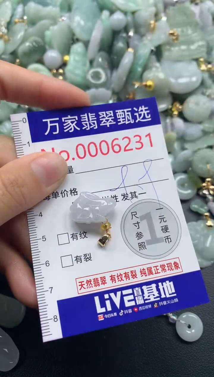 吊坠(不含链)未镶嵌翡翠6231