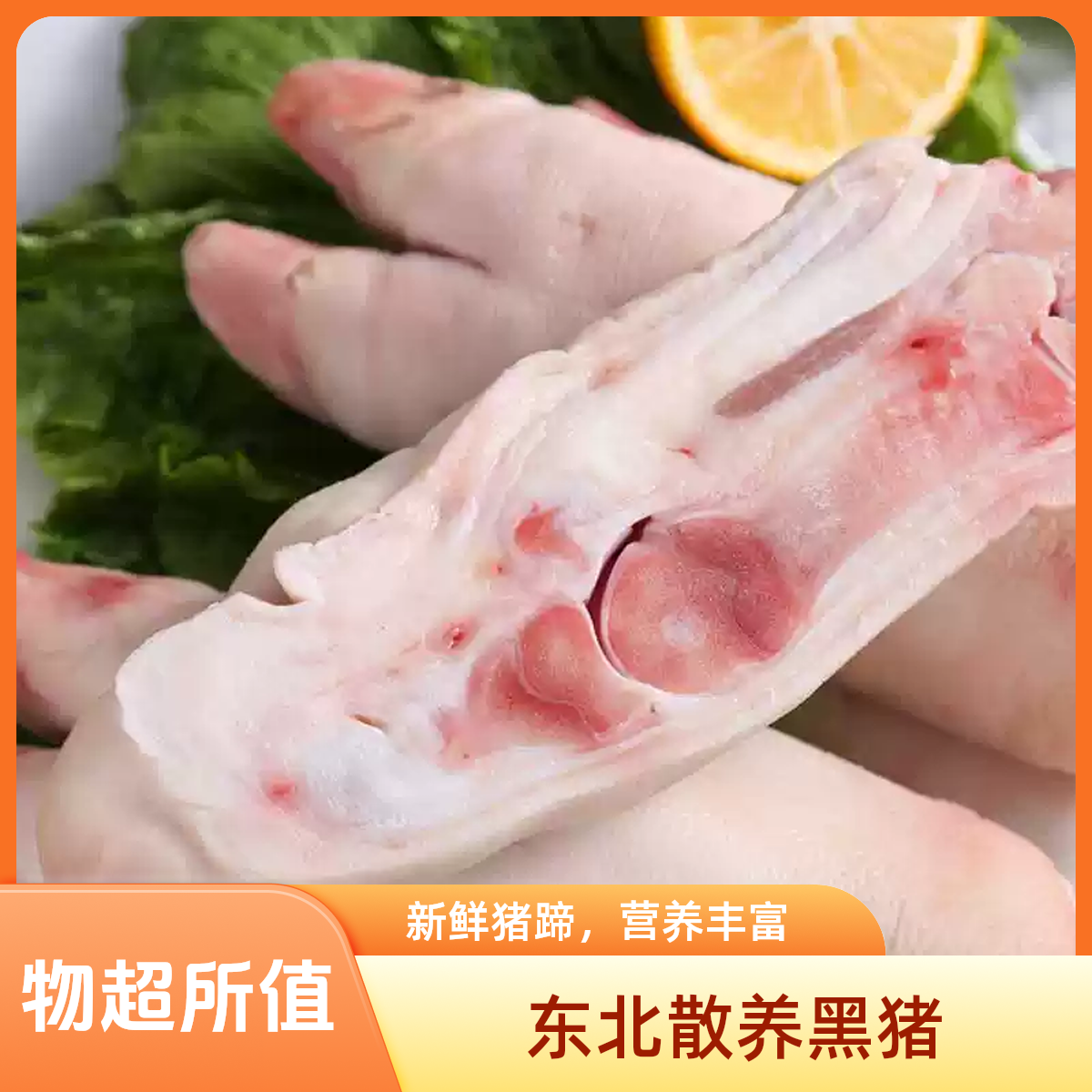 东北散养黑猪猪蹄
