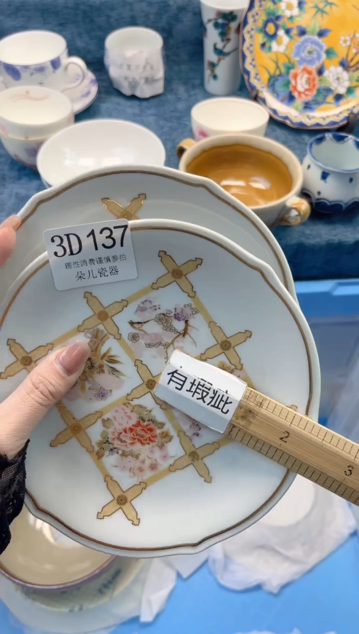 瓷片         3D137