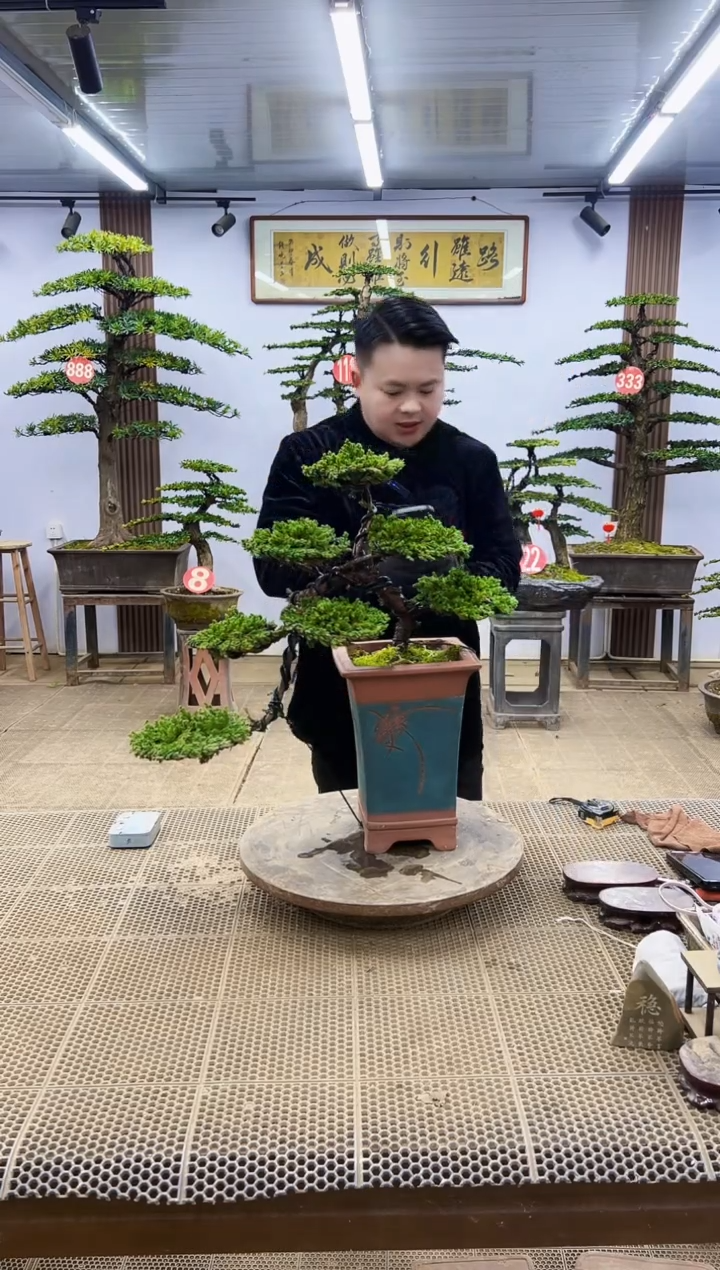 【闪购商品】000000000