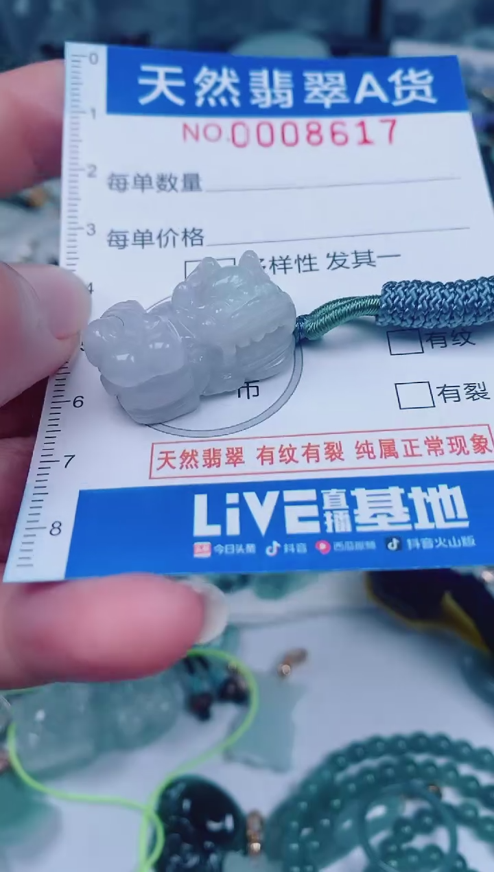 颈饰未镶嵌翡翠00008617