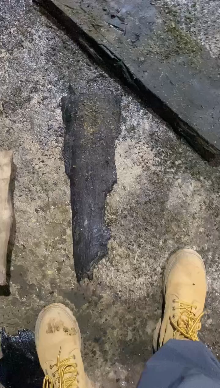 锦***呵金丝楠木原料木材