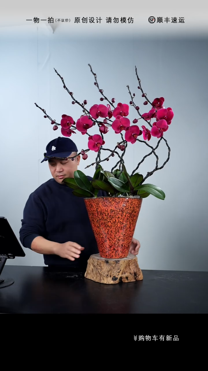 【闪购商品】130号链接【一物一拍】艺术盆景