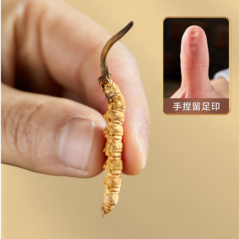【央吉专属】1根5根/克 2025干冬虫夏草 甄选滋补品送礼