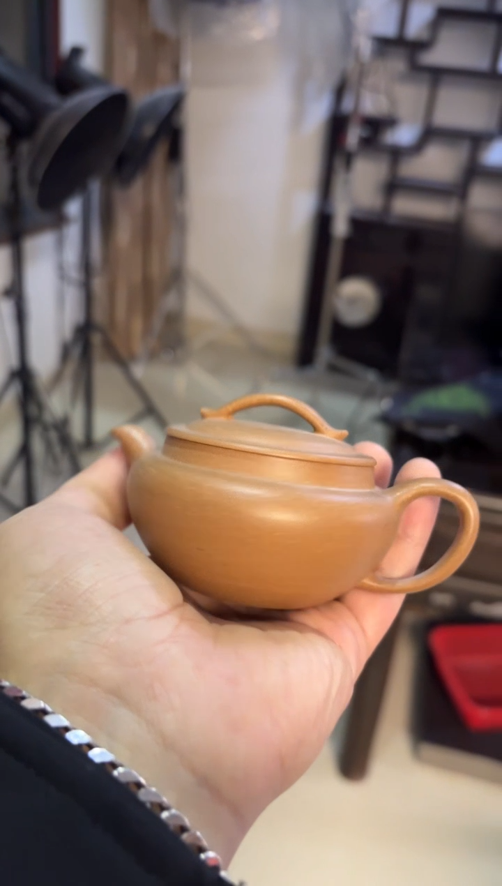 【闪购商品】紫砂茶壶福利紫砂段泥扁舟228