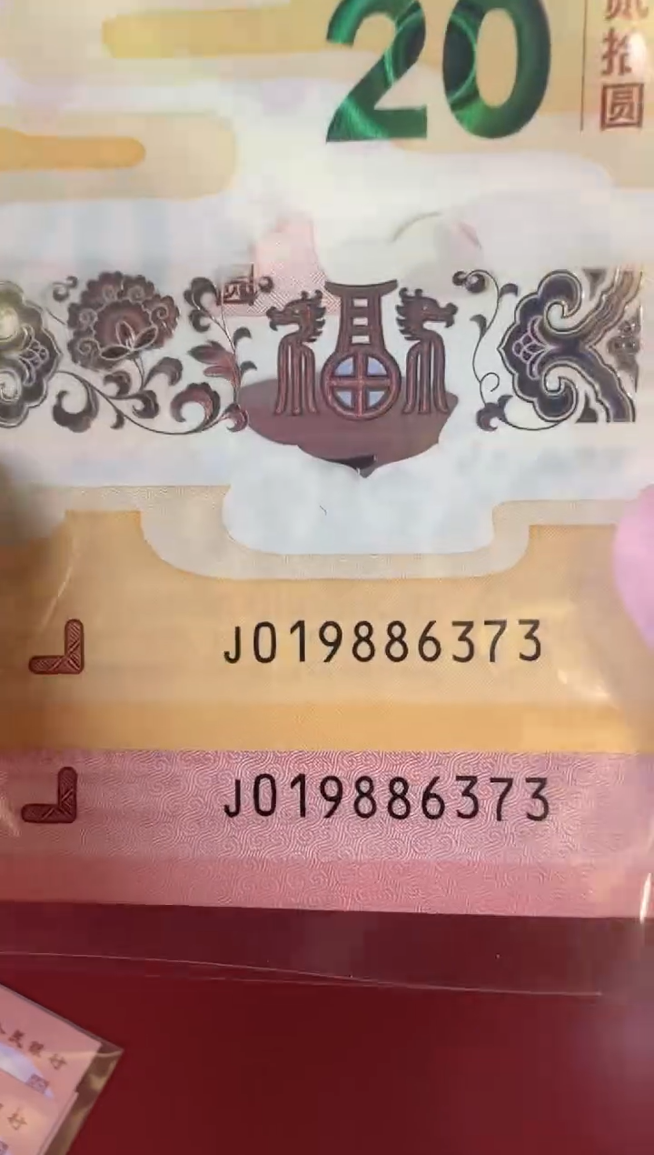 【闪购商品】塑料2025龙蛇 啊啊啊啊啊啊啊啊全同号裸