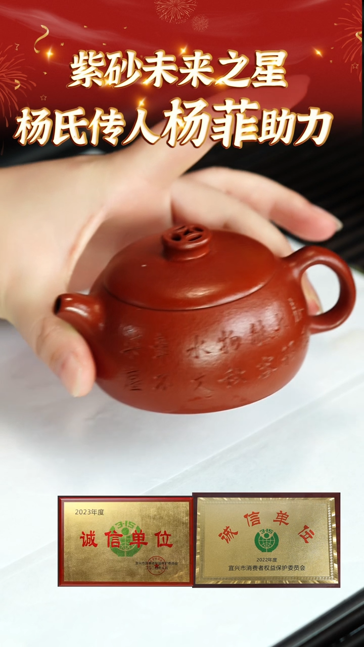 【闪购商品】紫砂茶壶29 杨菲老师专场  彭年朱泥