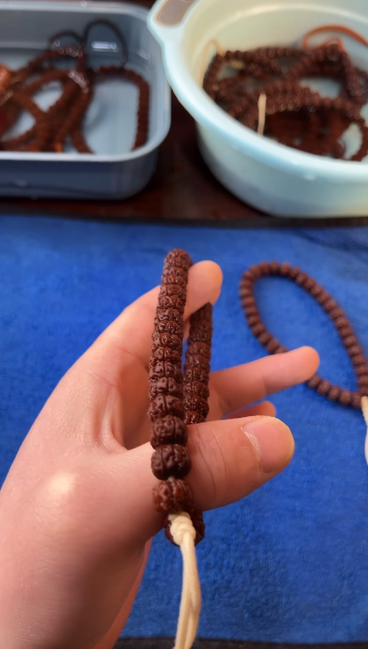 手串金刚菩提风*兰10+老树王