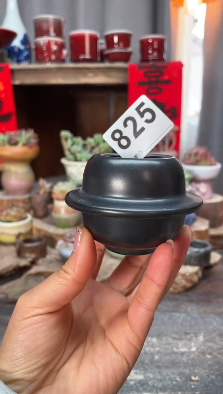【闪购商品】摆件825知木小芳花盆