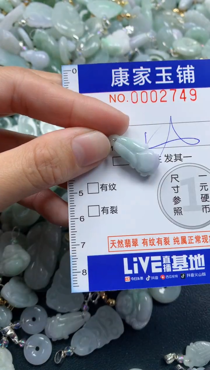 颈饰未镶嵌翡翠2749
