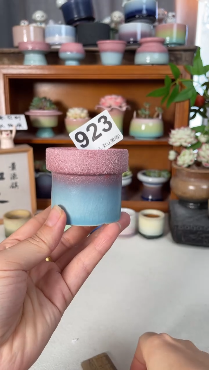 瓷片923微瑕知木小芳花盆