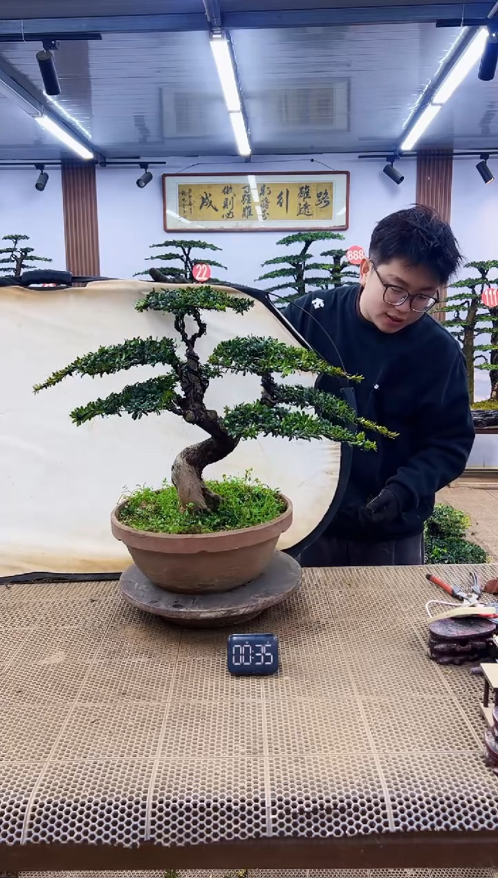 【闪购商品】一物一拍，所见即所得