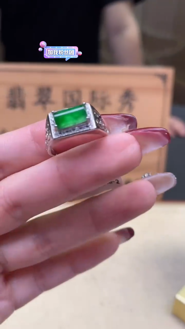 【闪购商品】翡翠颈饰未镶嵌      *A5 (只发一件)