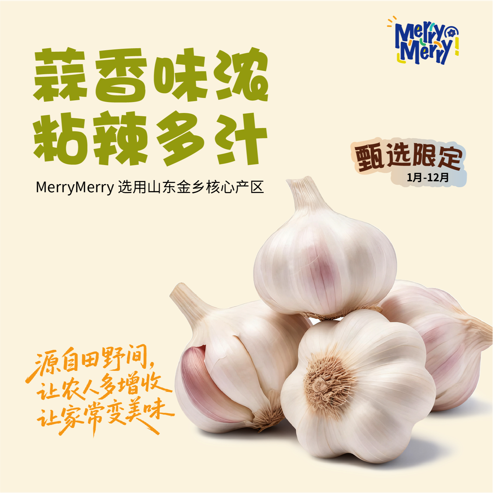正宗山东金乡干大蒜 辛辣大蒜头 产地直发干大蒜 蒜香十足xm