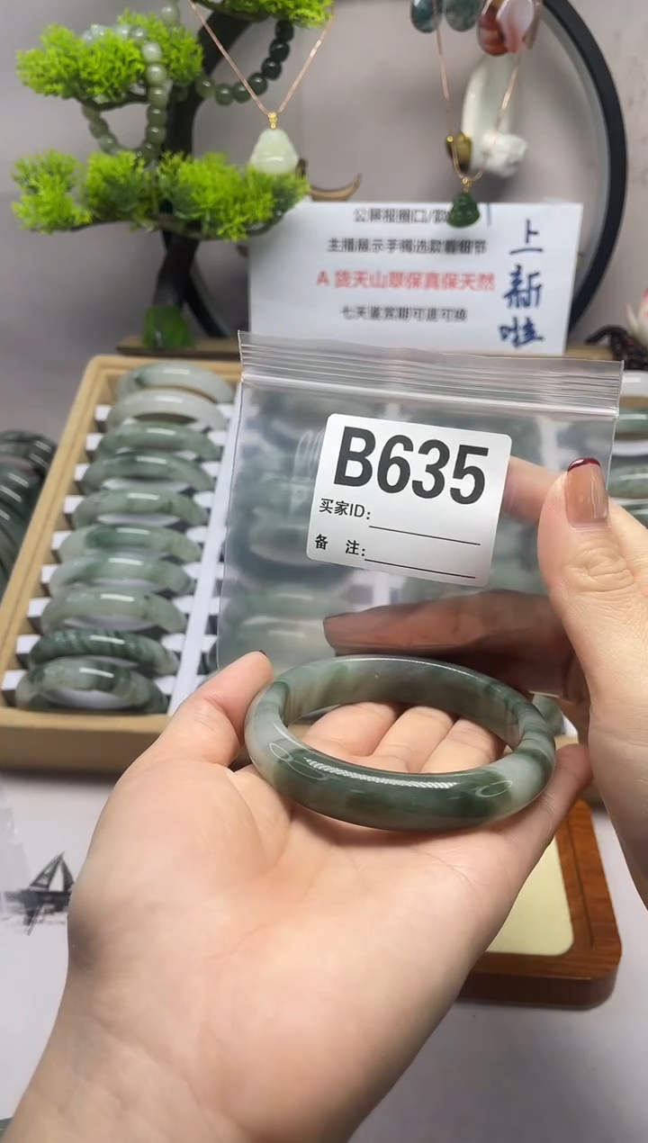 【闪购商品】石英质玉（天山翠）手镯未镶嵌b635