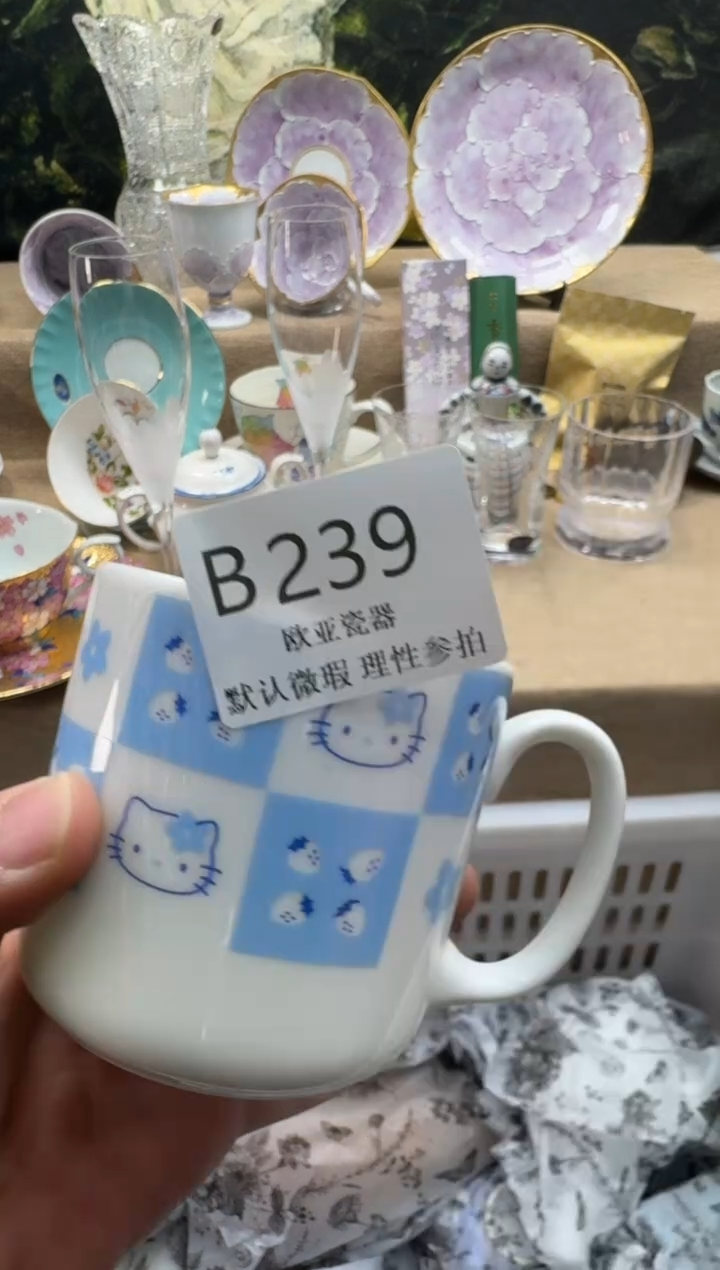 瓷片、****～瓷片    B239