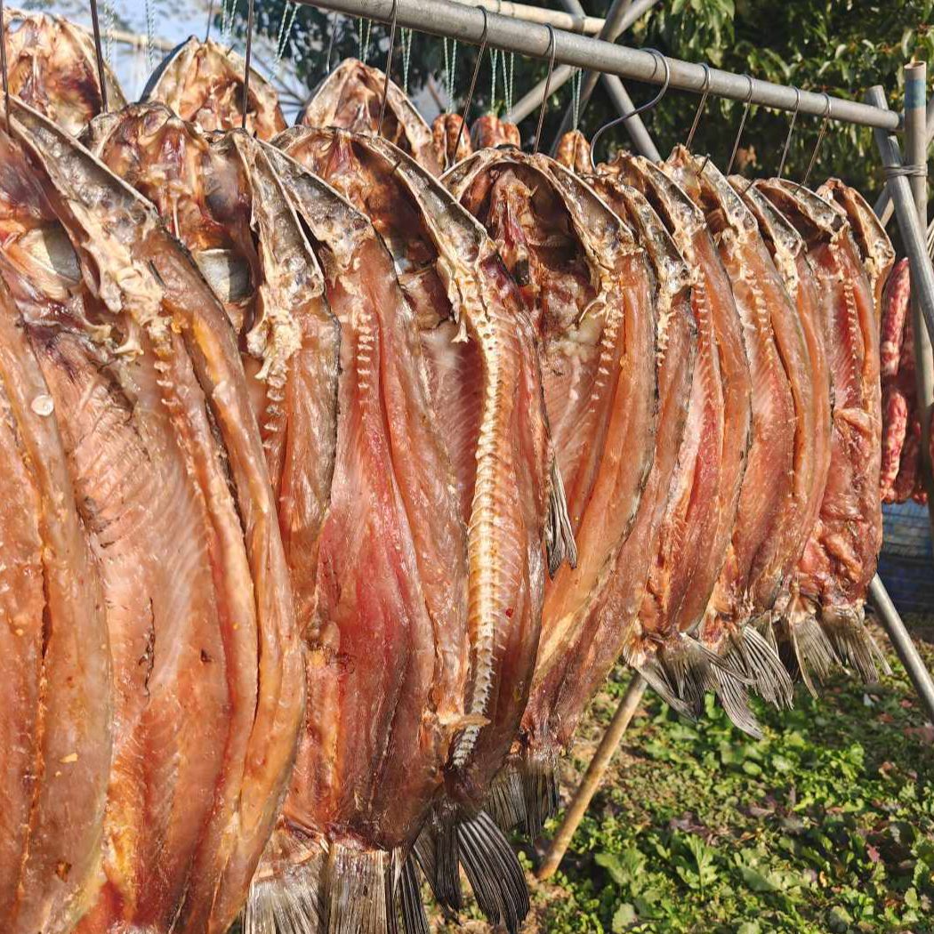 湖北青鱼鱼干腊鱼咸鱼传统手作自然风干7成螺蛳青干顺丰包邮到家