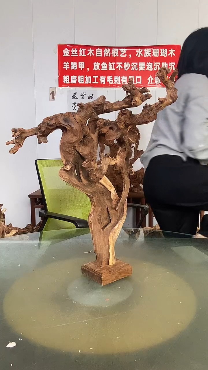 木郑*荣金丝红木  羊蹄甲