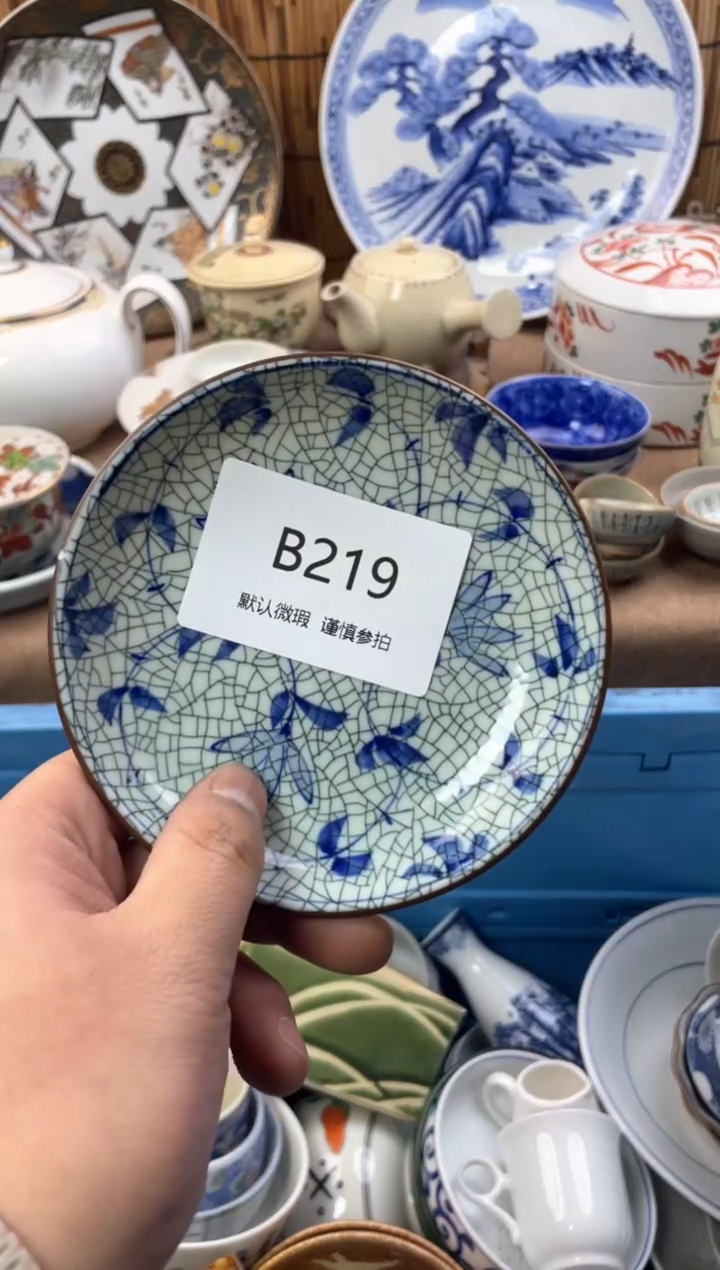 【闪购商品】日式中古no退no换默认微瑕B219