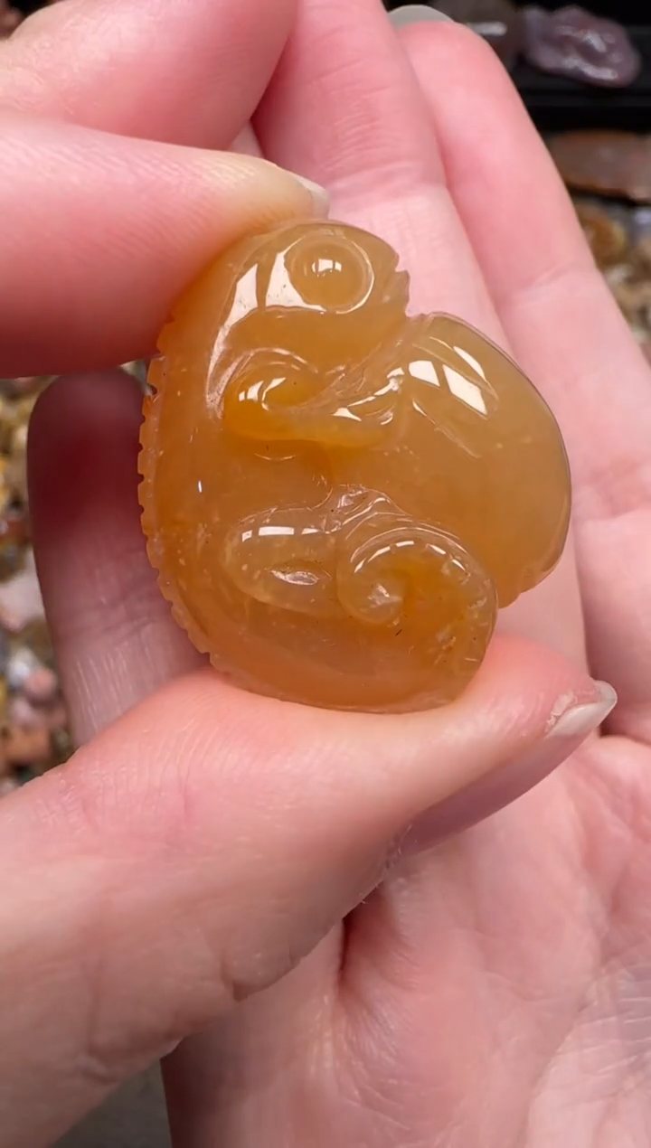 颈饰未镶嵌硅化珊瑚（珊瑚玉）233