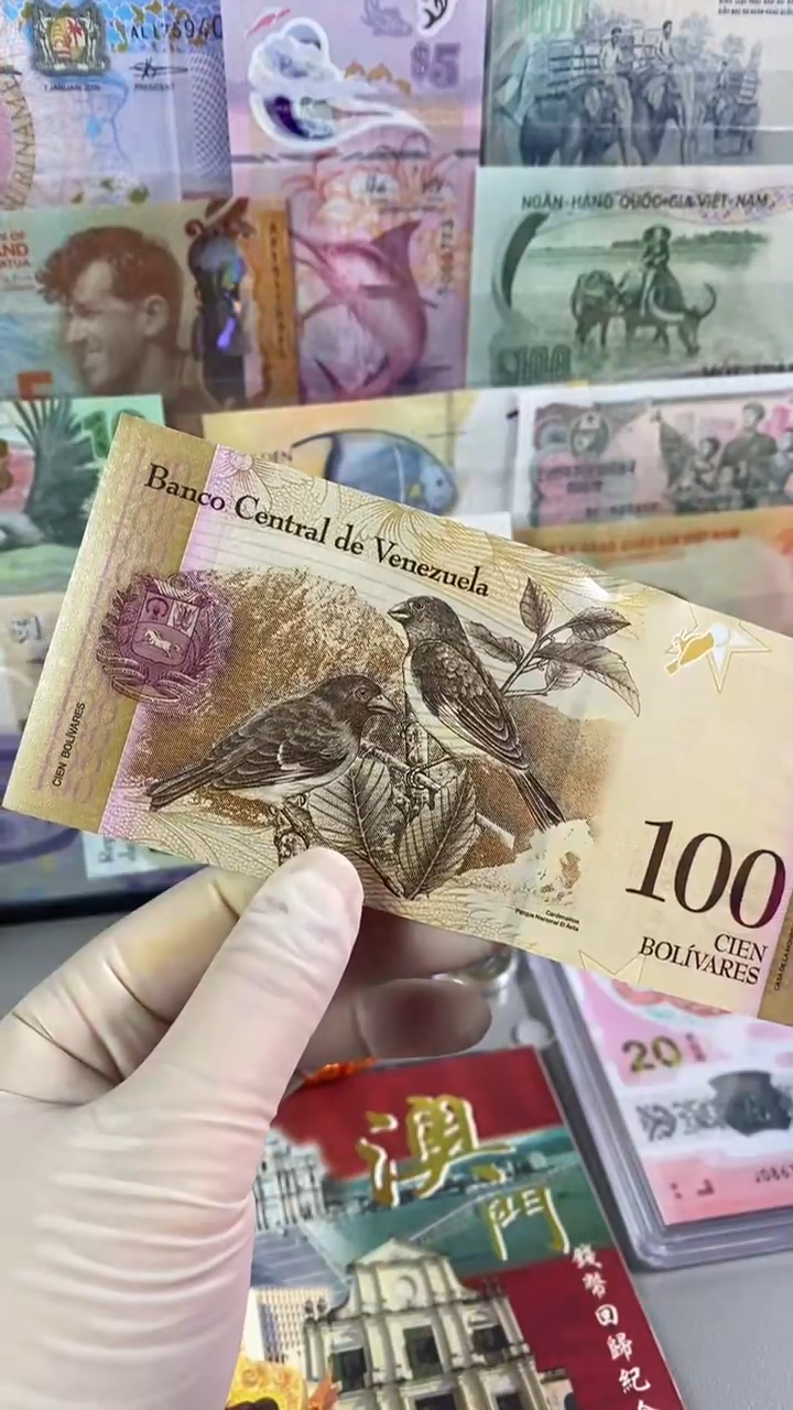 纸币委内瑞拉100玻利瓦尔 真钞真钱