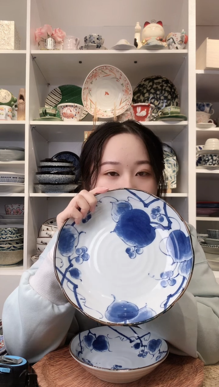 陶瓷【到手两支】美浓烧山归来大号盘22cm