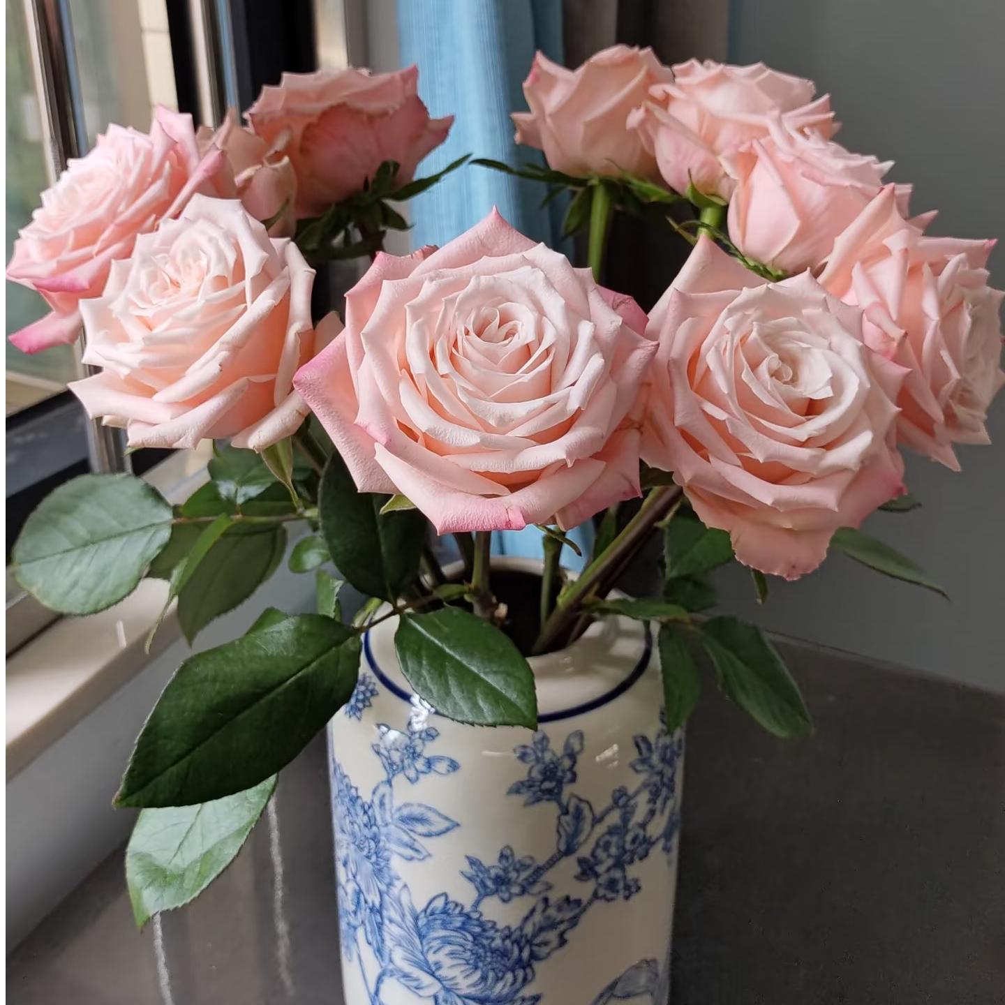 【花和优品】杏仁奶糖——单头玫瑰