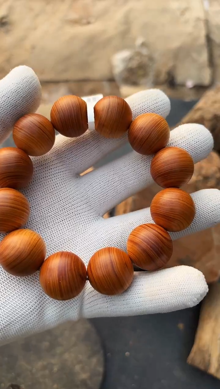 【闪购商品】柏木（崖柏）南太行崖柏2.0