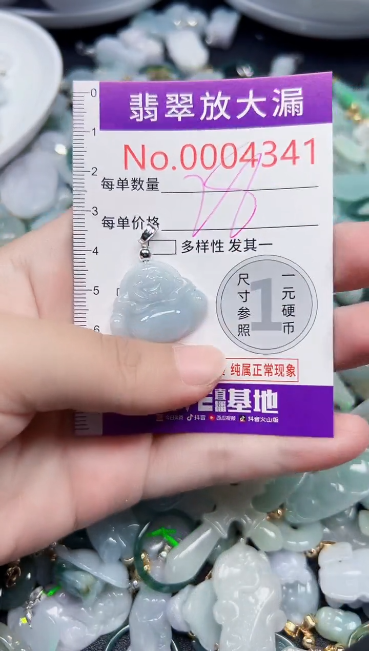颈饰未镶嵌翡翠4341