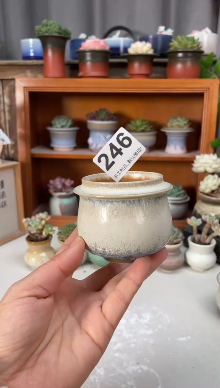 瓷片246小芳直播编号