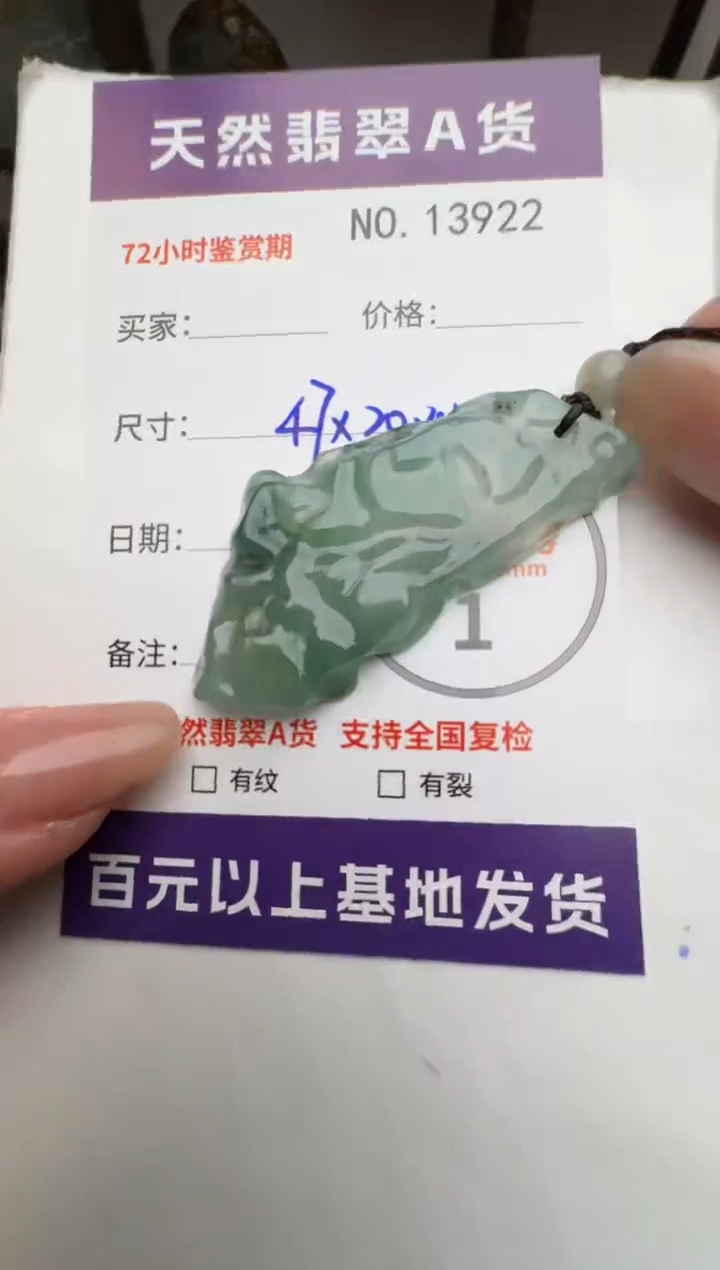 【闪购商品】翡翠颈饰未镶嵌原石13922