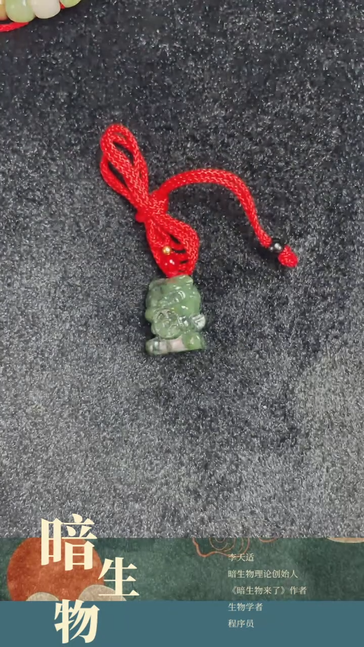 【闪购商品】和田玉吊坠(赠链)未镶嵌440