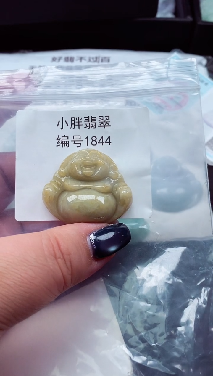 颈饰未镶嵌翡翠缅甸天然A货翡翠1844