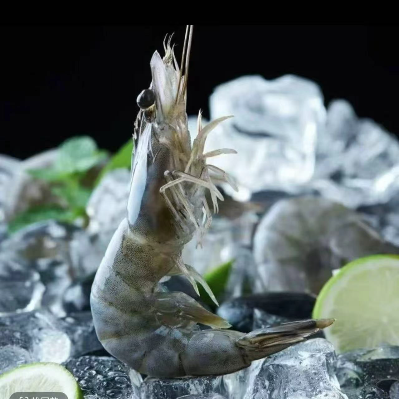 【海洋大虾】肉质鲜嫩大个头海水大虾单只16cm左右，一盒4斤40-50只海鲜-专用