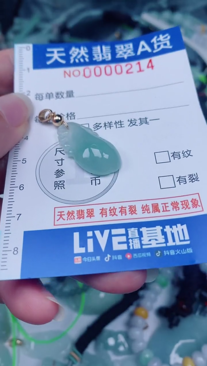 颈饰未镶嵌翡翠00000214