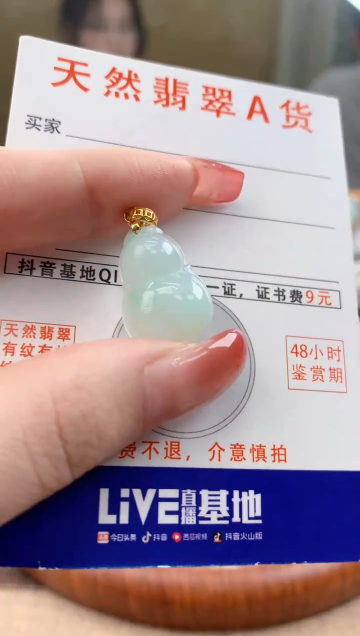 颈饰未镶嵌翡翠天然A货翡翠挂件