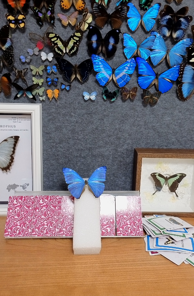 A1安东尼斯不带框