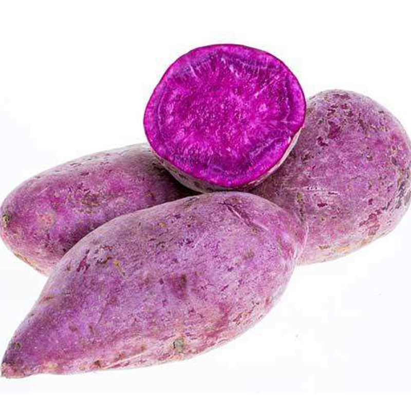 【散】紫薯(中) 约500g/份