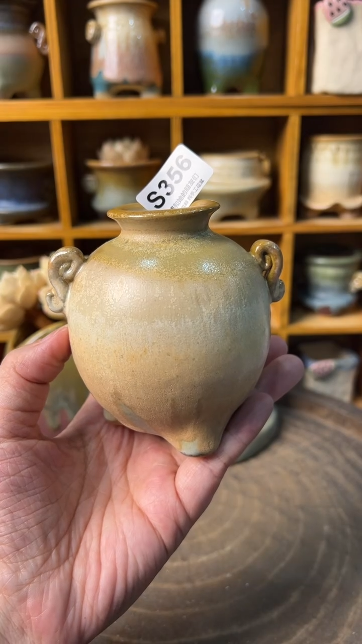 356 内口2.5【多肉花盆多肉盆】