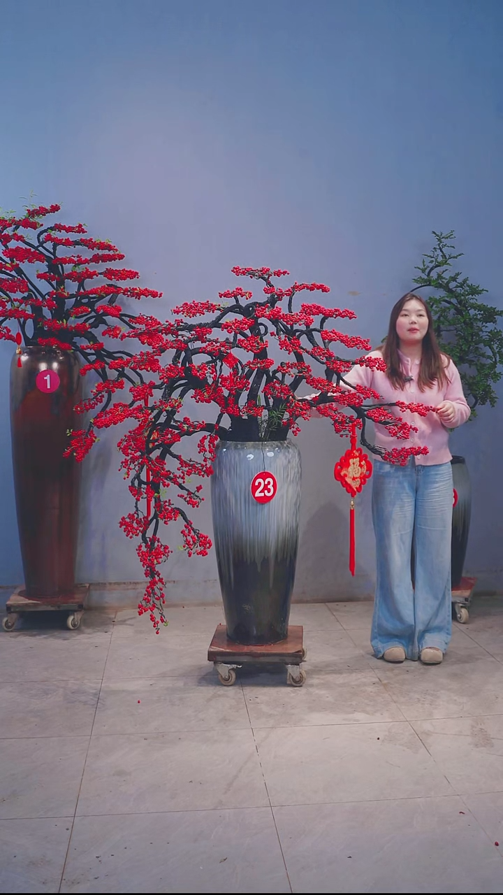 树脂我*我北美冬青