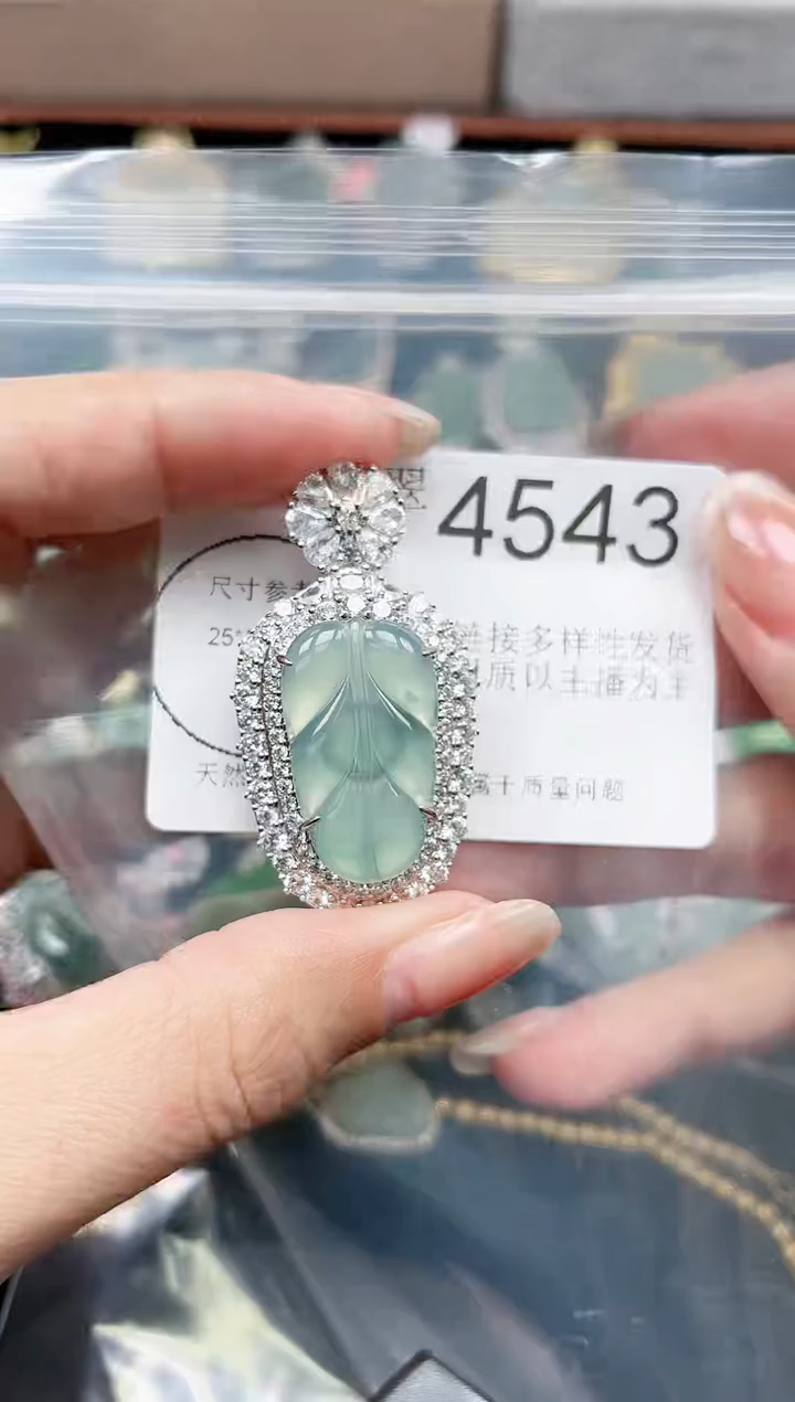 【闪购商品】翡翠颈饰未镶嵌4543赠皮绳