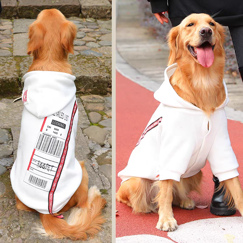 伊伊宠物专属链接