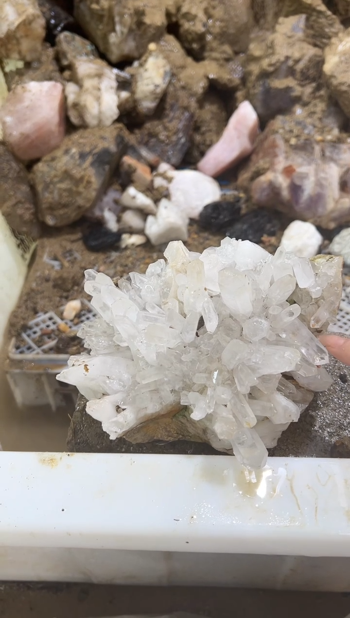 未镶嵌水晶大型摆件（非配饰）逗***叔960支架