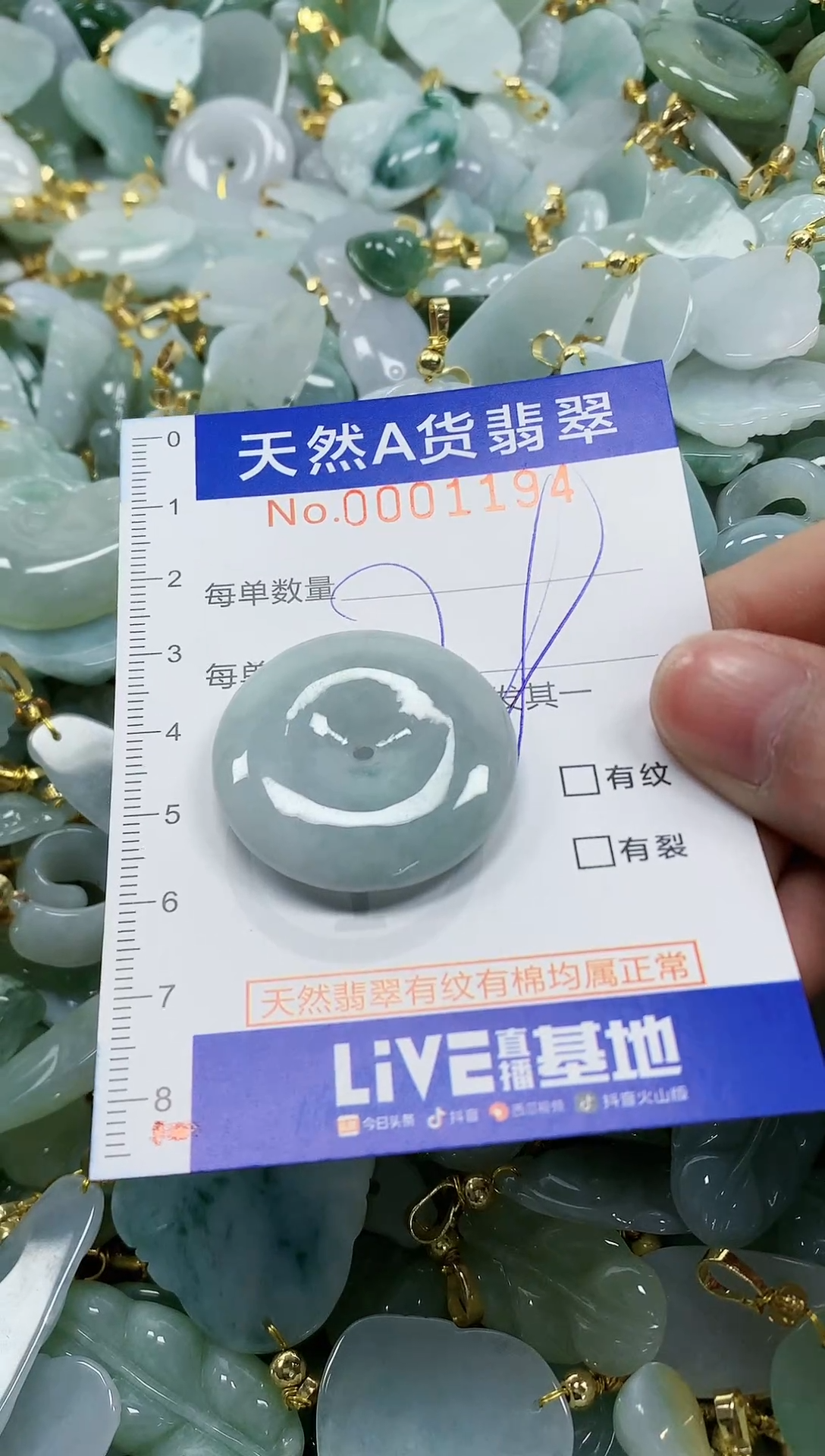 颈饰未镶嵌翡翠纯天然a货翡翠
