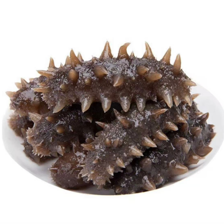 1000克鲜食海参5~16只 每个独立包装大连海参5~12cm每只